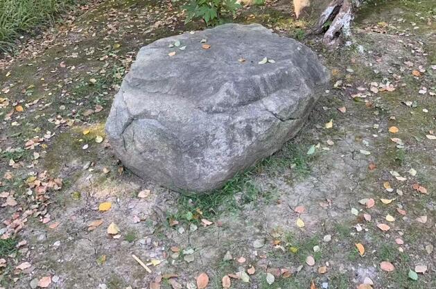 ǾĹЧǾĹЧͽ