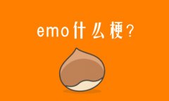 emoʲô˼W(wng)j(lu)Z(y)?W(wng)j(lu)Z(y)emoʲô