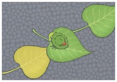Ͱ׌˿옷(l)Ͱɫ