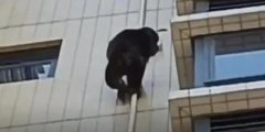V|?Ї(gu)Ɇ