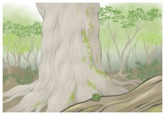 特朗普承認關稅戰(zhàn)讓貨架空空,贍養(yǎng)老人一個和二個一樣嗎